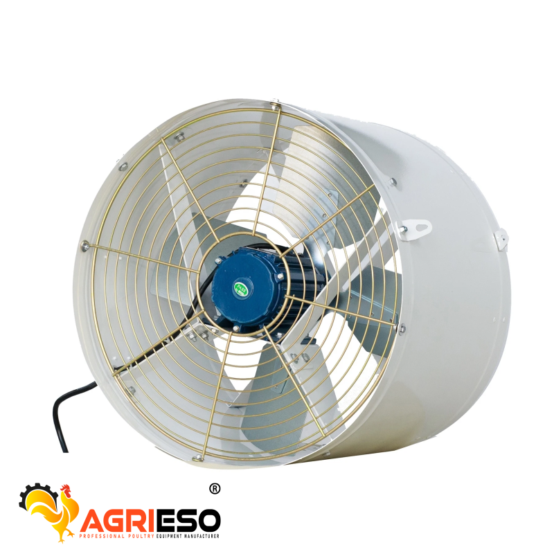 Circulation Fan